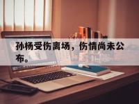 爱游戏平台登录入口-孙杨受伤离场，伤情尚未公布。
