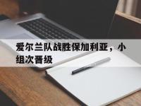 爱游戏平台登录入口-爱尔兰队战胜保加利亚，小组次晋级