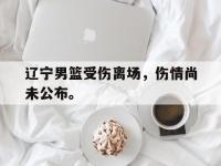 爱游戏平台登录入口-辽宁男篮受伤离场，伤情尚未公布。