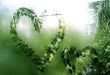 爱游戏登录app-关于Karsa官方宣布败北新规，TL引发争议！的信息