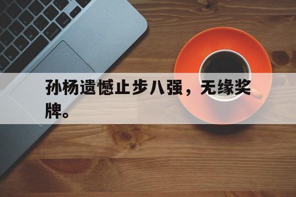 孙杨遗憾止步八强，无缘奖牌。