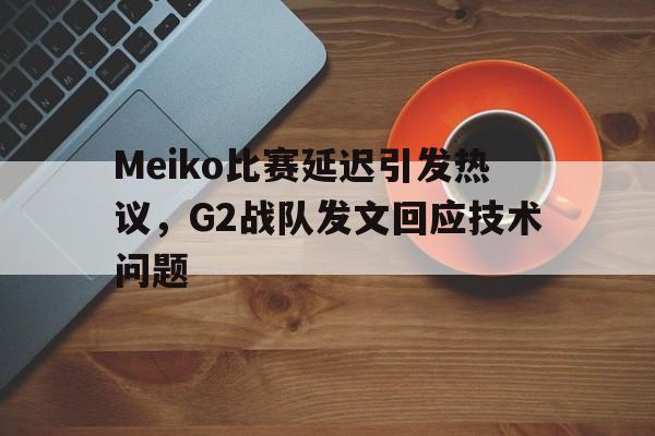 Meiko比赛延迟引发热议，G2战队发文回应技术问题