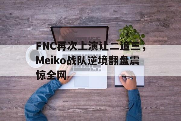 FNC再次上演让二追三，Meiko战队逆境翻盘震惊全网